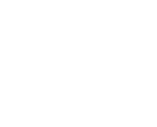 Logotyp Niepołomicki Alarm Smogowy
